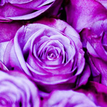 不占内存的ddos接单平台